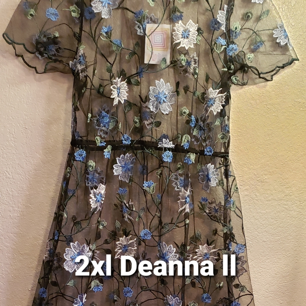 DeAnna and DeAnna ll LulaRoe